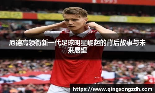 九游会(J9) - 真人游戏第一品牌