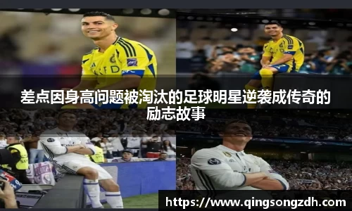 九游会(J9) - 真人游戏第一品牌