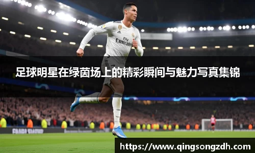 九游会J9真人游戏